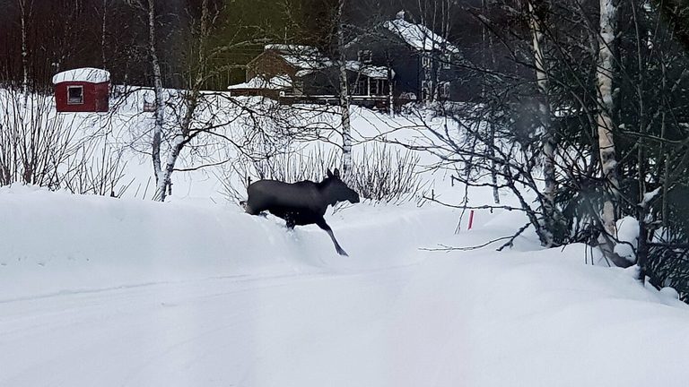 Impressionen – Bild 21